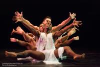 Lula Washington Dance Theatre